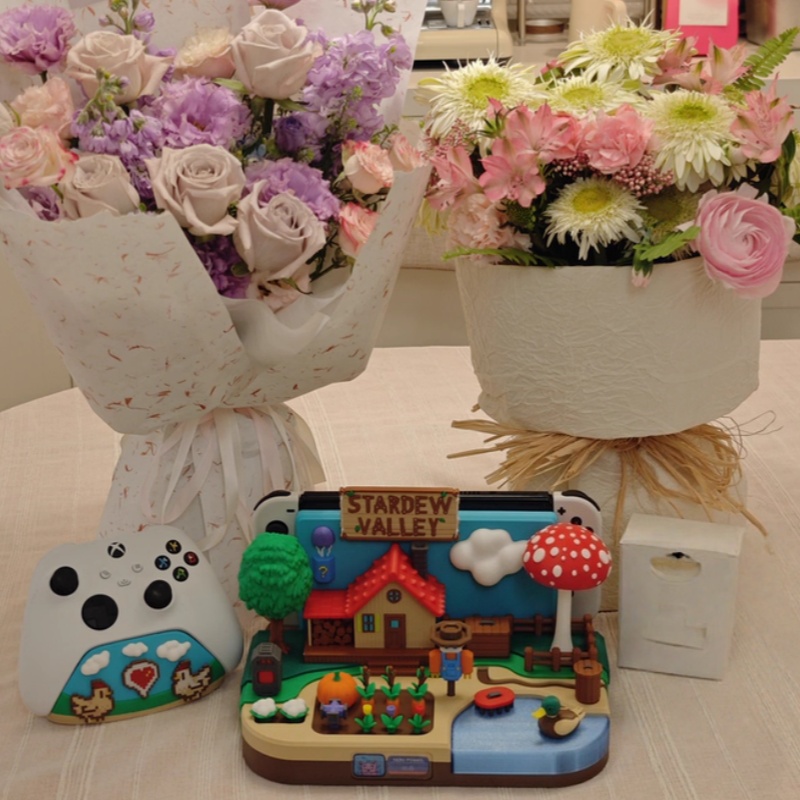 Switch Dock Stardew Valley Far - Gaming Console In review and price